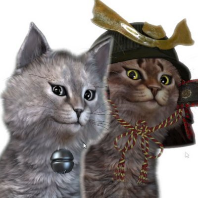 ayako_fox_tw's profile picture. 街に詳しい「ねこ将軍」とお酒好きな「八兵衛」が管理するアカウントです
特に盛り場関連の事件・事故の話が大好物で、いつも耳をそばだたせています。
たまに内輪情報も囁くかも。

🍺youtubeチャンネル：https://t.co/GcTuBxxiHb
🍻マシュマロ：https://t.co/rDib4JXMVm