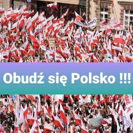 SOSdlaRodziny's profile picture. 