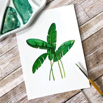 adrianadriandre's profile picture. 