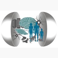 Stefan Remy (@sr_neurostar) 's Twitter Profile