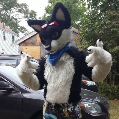 Gearhead || Biker || Bostonian || Wolf and Sneakretly a Yote || #Pro2A || 18+ May NOT be SFW || Viewer Discretion is Advised ||

@MakoWoof Holds My Heart