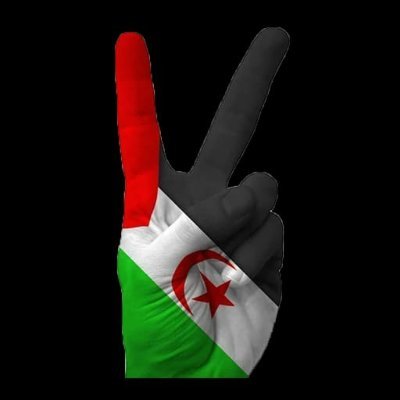 FREESAHARA1's profile picture. 