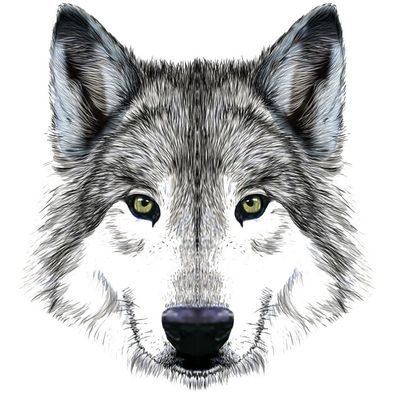 ccoin_hunter's profile picture. coin hunter