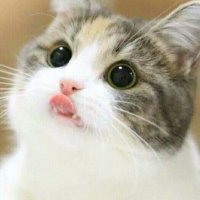 @Asmaul sammy (@jasnuba) 's Twitter Profile