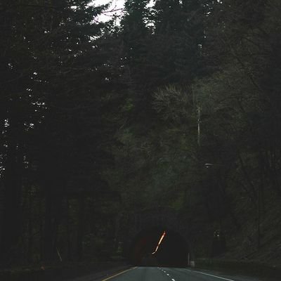 insertdopeename's profile picture. 