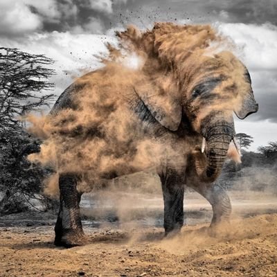 itskenjo's profile picture. 