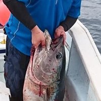 かず (@ipdwbpkj9vnc5e5) 's Twitter Profile