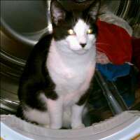 GlenLeeEdwards's profile picture. 