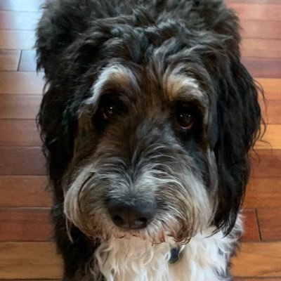 tony508's profile picture. 