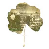 Kathryn Parsons (@kparsons_art) 's Twitter Profile