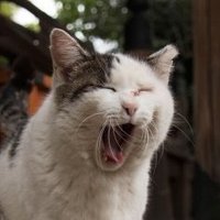 ใใๅญโบ๏ธ@3y๐ใจ1y9m๐ (@mcoo_mcoo) 's Twitter Profile Photo ใใๅญโบ๏ธ@3y๐ใจ1y9m๐ (@mcoo_mcoo) 's Twitter Profile Photo