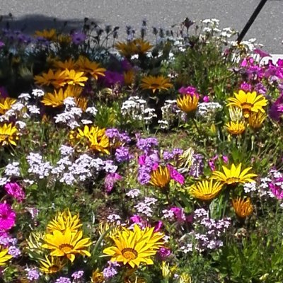 che_pie33's profile picture. 