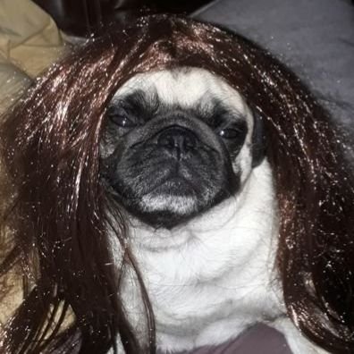 Emilkywayz's profile picture. Hello there