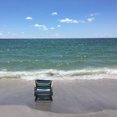 OrlandoWriter7's profile picture. Believer. Love God, Family, Country, Vets, Mil, My Precious Pup. ✝️🇺🇸My Twitter acct was decimated 1/21/2021, day after installment of illegitimate regime.