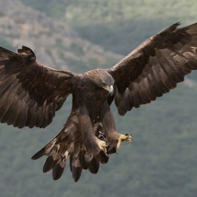 WillmsWilms's profile picture. Vivo cada segundo al máximo