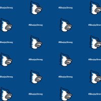 Raymond Sauer (@ladyjaysvb) 's Twitter Profile Photo Raymond Sauer (@ladyjaysvb) 's Twitter Profile Photo