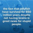 D’Anna Long - @DAnnaLong20 - Twitter