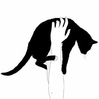🐱
