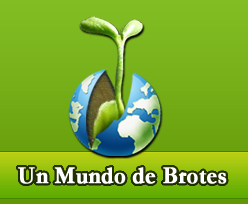 Portal web sobre Depuración Corporal y Alimentación Viva: Información, Cursos, Talleres, Recetas de Comida Viva.