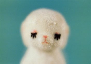 TACJess's profile picture. 