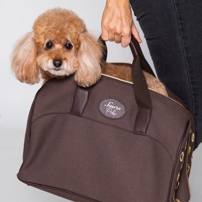 Saura Pets / Luxury Bags para mascotas 🐶🐾 con sello 💯 #madeinspain y materiales respetuosos con el medio ambiente 🌎