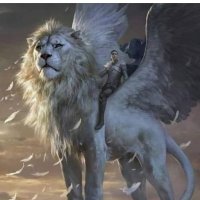 Beaulieu André (@beaulieuandr1) 's Twitter Profile