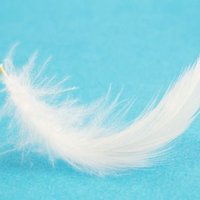 ロマン (@featherstep3) 's Twitter Profile