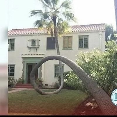 RevaneF's profile picture. YAZIR...