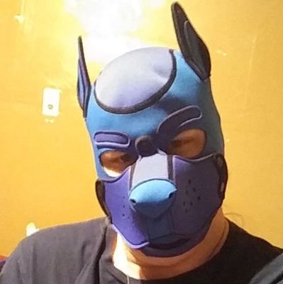 KirosPup's profile picture. I'm Pup Kiros, 25, I can be a kinky sub even if I'm shy They/Them. Alpha by @Icewolf9879