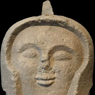 The Etruscan Interest Group of the Archaeological Institute of America @archaeology_aia is committed to promoting the study & understanding of the #Etruscans.