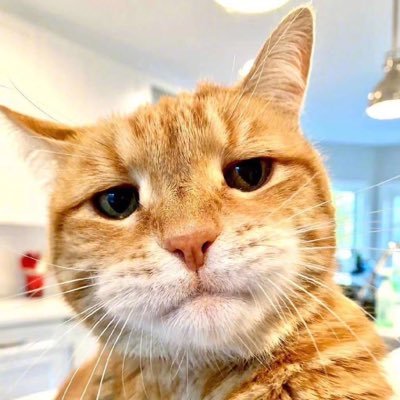 RAY18291's profile picture. 好人一个，喜欢新鲜感