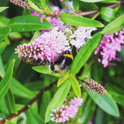 debsta14's profile picture. 