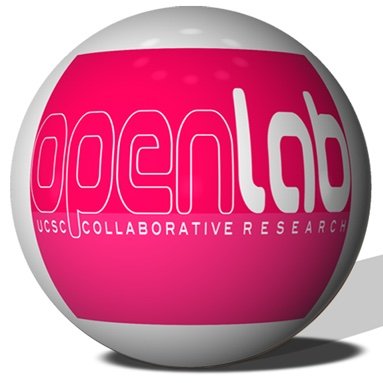 Fostering Innovative Collaborative Research through Explorations of Culture, Creativity, and Science