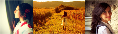 MisakiJaponia's profile picture. One year in Japan, a lifetime of passion.