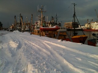 Napoleon77's profile picture. ...