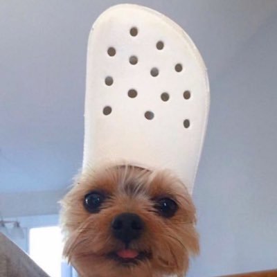 PeggyPunch2's profile picture. why am I still here