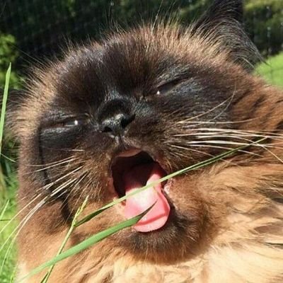 w_yyi's profile picture. dbsjdvfjbd f dhdbhdhe dhdh