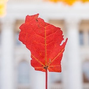 BBinTosa's profile picture. Husband. Father. Dog lover. Sports enthusiast. Fan of MKE and WI sports teams. Passionate about tacos and coffee.