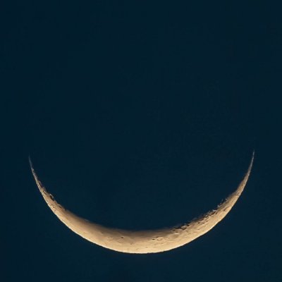 하현🌗💊🎸さんのプロフィール画像
