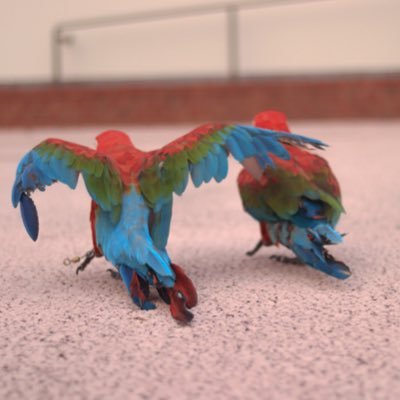 Nemukamer's profile picture. 趣味でカメラマンをしています📸