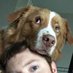 Josh Koch (@josh_theredhead) Twitter profile photo Josh Koch (@josh_theredhead) Twitter profile photo
