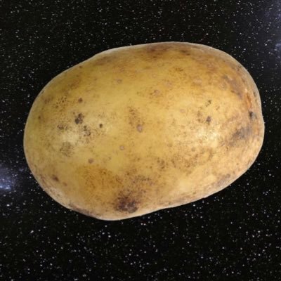 the future is potato