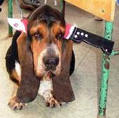 Sharilynkj33's profile picture. 