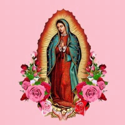 theblissfulcath's profile picture. ✝️#Catholic🇻🇦|19♡| pro-life💗💫Brand Ambassador for @elevatedfaith discount code:NNayely15 to get 15% off your purchase