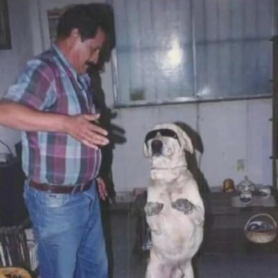 mmanuelGTZ's profile picture. 