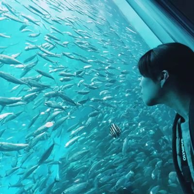 Kana Soejima 元水族館飼育員 Doltrainer Twitter Kana Soejima 元水族館飼育員 Doltrainer Twitter