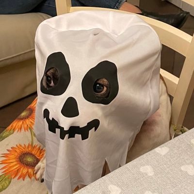 pocos76's profile picture. 