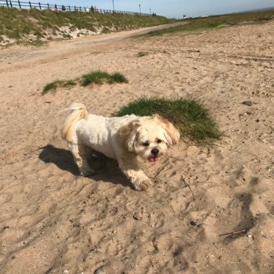 Mum, nature lover, traveller and wandering rambler
