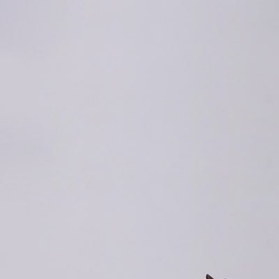 __twicetagram__'s profile picture. Lets have a TWICE time 💌

♡^_^ [@JYPETWICE] ^_^♡