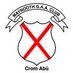 Maynooth GAA (@maynoothgaa) Twitter profile photo